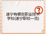 遂宁有哪些职业技术学校(遂宁职校一览)
