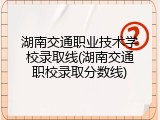 湖南交通职业技术学校录取线(湖南交通职校录取分数线)
