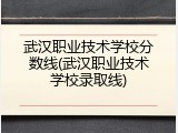武汉职业技术学校分数线(武汉职业技术学校录取线)