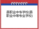 县职业中专学校(县职业中等专业学校)