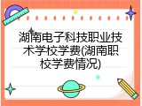 湖南电子科技职业技术学校学费(湖南职校学费情况)