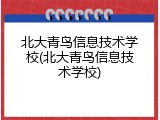 北大青鸟信息技术学校(北大青鸟信息技术学校)