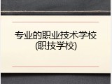 专业的职业技术学校(职技学校)