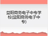 益阳商务电子中专学校(益阳商务电子中专)