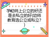 学幼师上公立的好还是去私立的好(幼师教育选公立或私立？)