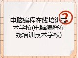 电脑编程在线培训技术学校(电脑编程在线培训技术学校)