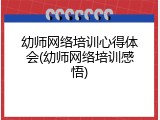 幼师网络培训心得体会(幼师网络培训感悟)