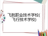飞航职业技术学校(飞行技术学校)