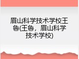 眉山科学技术学校王鲁(王鲁，眉山科学技术学校)