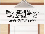 武冈市蓝深职业技术学校占地(武冈市蓝深职校占地面积)