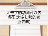 大专学的幼师可以去哪里(大专幼师的就业去向)