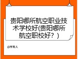 贵阳哪所航空职业技术学校好(贵阳哪所航空职校好？)