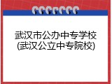 武汉市公办中专学校(武汉公立中专院校)