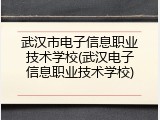 武汉市电子信息职业技术学校(武汉电子信息职业技术学校)