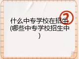 什么中专学校在招生(哪些中专学校招生中)