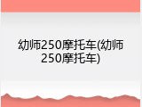 幼师250摩托车(幼师250摩托车)