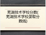 芜湖技术学校分数(芜湖技术学校录取分数线)