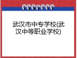 武汉市中专学校(武汉中等职业学校)
