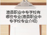 澧县职业中专学校有哪些专业(澧县职业中专学校专业介绍)