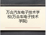 万合汽车电子技术学校(万合车电子技术学院)