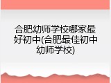 合肥幼师学校哪家最好初中(合肥最佳初中幼师学校)