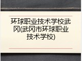 环球职业技术学校武冈(武冈市环球职业技术学校)