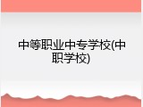 中等职业中专学校(中职学校)