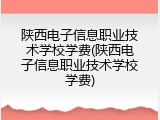 陕西电子信息职业技术学校学费(陕西电子信息职业技术学校学费)