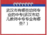 武汉市有哪些幼师专业的中专(武汉市幼儿教师中专专业有哪些？)