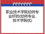 职业技术学院幼师专业好的(幼师专业，技术学院优)