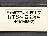 西南航空职业技术学校王鹤棣(西南航空王鹤棣职校)
