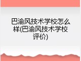 巴渝风技术学校怎么样(巴渝风技术学校评价)
