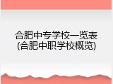 合肥中专学校一览表(合肥中职学校概览)