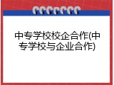 中专学校校企合作(中专学校与企业合作)