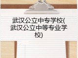 武汉公立中专学校(武汉公立中等专业学校)