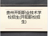 贵州开阳职业技术学校招生(开阳职校招生)