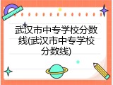武汉市中专学校分数线(武汉市中专学校分数线)