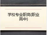 学校专业职高(职业高中)