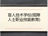 盲人技术学校(视障人士职业技能教育)
