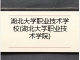 湖北大学职业技术学校(湖北大学职业技术学院)