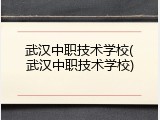 武汉中职技术学校(武汉中职技术学校)
