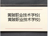 黄陂职业技术学校(黄陂职业技术学校)