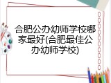 合肥公办幼师学校哪家最好(合肥最佳公办幼师学校)