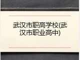 武汉市职高学校(武汉市职业高中)