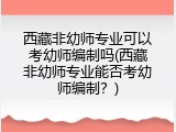 西藏非幼师专业可以考幼师编制吗(西藏非幼师专业能否考幼师编制？)