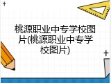 桃源职业中专学校图片(桃源职业中专学校图片)