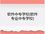 软件中专学校(软件专业中专学校)