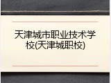 天津城市职业技术学校(天津城职校)