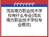 茂名南方职业技术学校有什么专业(茂名南方职业技术学校专业概览)