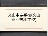 文山中专学校(文山职业技术学校)